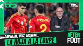 France-Espagne : Carvajal, Ruiz, Morata... la Roja à la loupe avant la demie