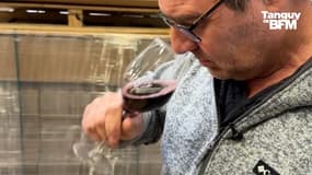 TANGUY DE BFM - Du vin de Bordeaux vendu à moins de 2 euros en grande surface, les vignerons furieux