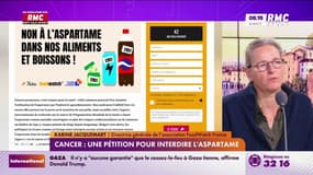 Aspartame : "Des promesses trahies concernant le poids", avertit Karine Jacquemart