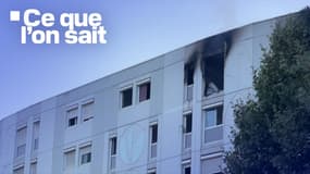 L'incendie d'un appartement a fait sept morts à Nice dans la nuit du 17 au 18 juillet 2024. 