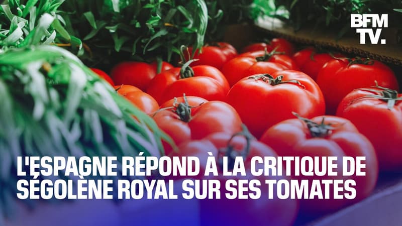 Tomates immangeables: le Premier ministre espagnol répond à la critique de Ségolène Royal