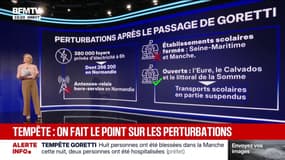 LES ÉCLAIREURS - Tempête Goretti: trains, routes, écoles...le point sur les perturbations à 10 heures