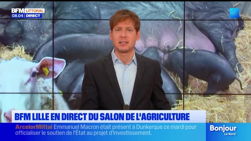 Le journal de 8h du mardi 24 février 2026