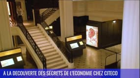 A la découverte des secrets de l'économie chez Citéco