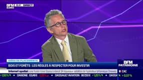 Idée de placements: Bois et forêts, les règles à respecter pour investir - 23/08