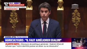 Gabriel Attal juge d'une "incohérence absolue" les votes des eurodéputés RN sur la PAC