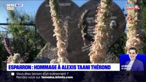 Esparron: hommage à Alexis Taani-Perrin-Thérond, soldat mort en Afghanistan