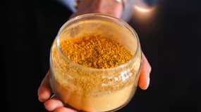 Un verre contenant une nouvelle protéine alimentaire baptisée "solein", au siège de la société Solar Foods à Vantaa (Finlande), le 2 mai 2024 (photo d'illustration).