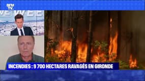 Incendies en Gironde : mobilisation du territoire national - 16/07
