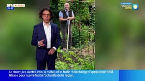 Un peu de cinéma, du jardinage et de la bonne humeur - La météo de Colas du mardi 27 janvier 2026