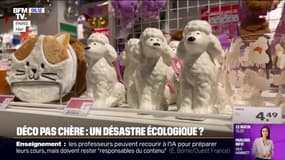 "Pour un meuble Ikea c'est un arbre abattu toutes les deux secondes": décoration à prix bas, un désastre pour l'écologie ? 