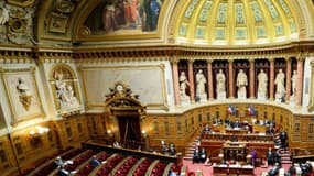 Le Sénat a largement adopté la prolongation de l'état d'urgence