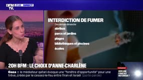 LE CHOIX D'ANNE-CHARLÈNE - Tabac: nouvelles restrictions, risque politique ?
