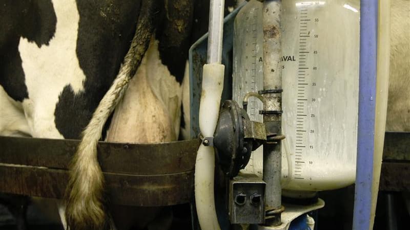 La Fédération nationale des producteurs de lait (FNPL), branche spécialisée de la FNSEA, va engager une action en justice contre le groupe laitier Lactalis au sujet de contrats laitiers jugés "déséquilibrés". /Photo d'archives/REUTERS/Luke MacGregor