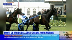 "Un des ambassadeurs de la Manche": mort de Jag de Bellouet, cheval hors norme