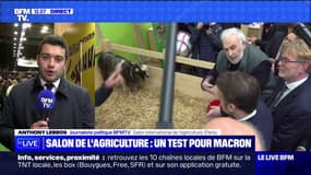 Comment est organisé le dispositif autour d'Emmanuel Macron au Salon de l'agriculture ?