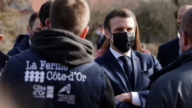 Le président Emmanuel Macron (2e g) visite la ferme d'Etaules, le 23 février 2021 près de Dijon