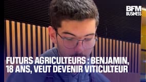  Futurs agriculteurs : Benjamin, 18 ans, veut devenir viticulteur 