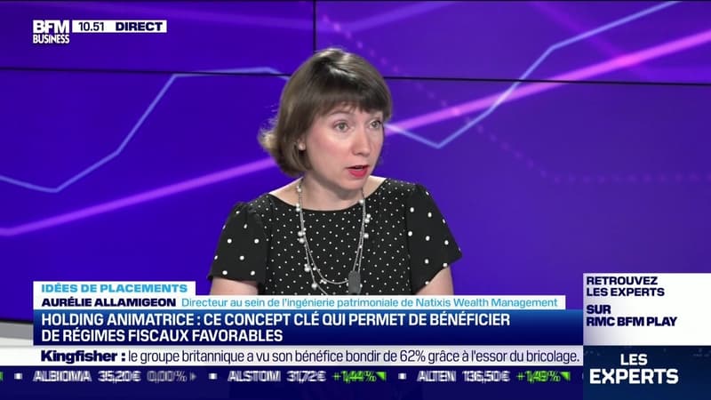 Idée de placements: Le concept clé d'une holding animatrice - 21/09