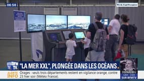 "La mer XXL", plongée dans les océans