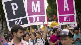 Des panneaux en faveur de la procréation médicalement assistée lors de la gay pride en 2013 à Paris