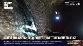 Une toile géante avec 111.000 araignées découverte dans une grotte en Grèce
