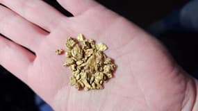 Des pépites d'or trouvées par le chasseur de trésor américain Mark Dayton.