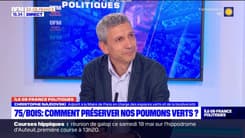 Les élus parisiens, majorité et opposition réunies, proposent à la mairie de Paris 68 pistes de gestion des bois de Boulogne et Vincennes