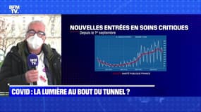 Covid : la lumière au bout du tunnel ? - 21/01