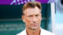 Hervé Renard