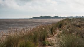 La plage des Gravelines, dans le Nord, le 11 juillet 2025