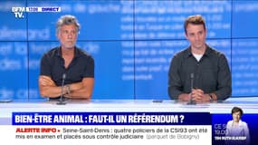 Story 1 : Faut-il un référendum pour le bien-être animal ? - 02/07