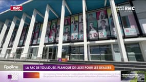 La fac de Toulouse, planque de luxe pour les dealers