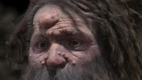 Reconstitution du visage de l'homme de Cro-Magnon, réalisée par une équipe d'anthropologues de l'Université de Versailles Saint-Quentin-en-Yvelines. 