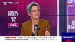 Pour Sandrine Rousseau, "le nucléaire augmente la contrainte sur le pouvoir d'achat"