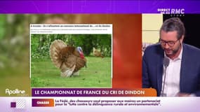 Les histoires de Charles Magnien  : Le championnat de France du cri de dindon - 15/11