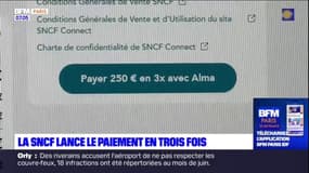 Transports: la SNCF lance le paiement en trois fois, les usagers franciliens sont mitigés