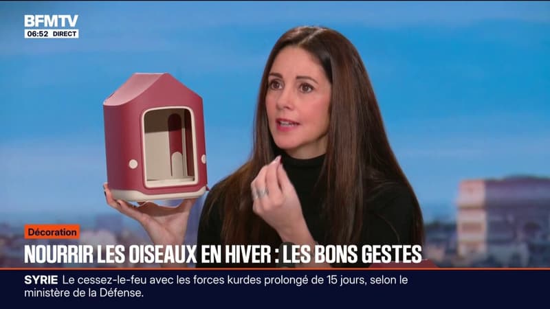 C'est votre vie - Les bons gestes pour nourrir les oiseaux en hiver