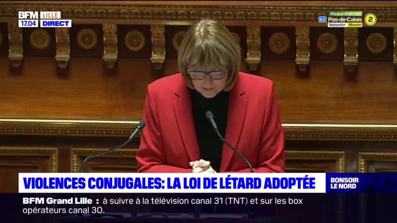 Nord: une sénatrice fait voter l'aide universelle d'urgence pour les victimes de violences conjugales