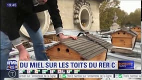Des ruches sur les toits du RER C pour produire le "Miel d'Austerlitz"