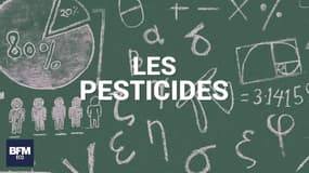 Halogènes, sécu, pesticides: ce qui change le 1er septembre