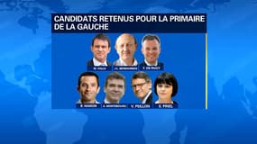 Les candidats de la primaire de la gauche