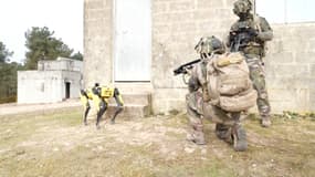  L'armée française s'entraîne avec un chien-robot 