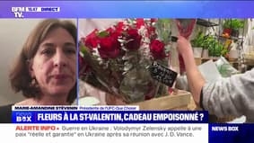 "Sur ces 15 bouquets, 100% ont présenté des pesticides recherchés"Assure Marie-Amandine Stévenin (président UFC-Que Choisir)