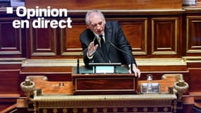 Le Premier ministre, François Bayrou, au Sénat, à Paris, le 15 janvier 2025