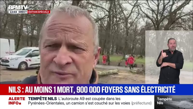 Tempête Nils: "Entre 100 et 200 arbres sont tombés et certains ont entravé les routes", témoigne Charles Dayot, maire de Mont-de-Marsan