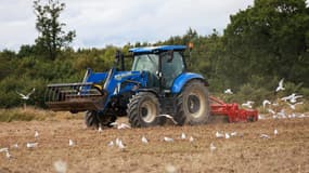 Des oiseaux picorent dans le sillon d'un tracteur qui laboure un champ à Saint-Père-en-Retz (Loire-Atlantique), le 28 juillet 2023.