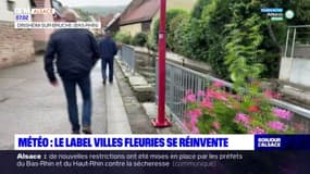 Bas-Rhin: le label Villes fleuries se réinvente 
