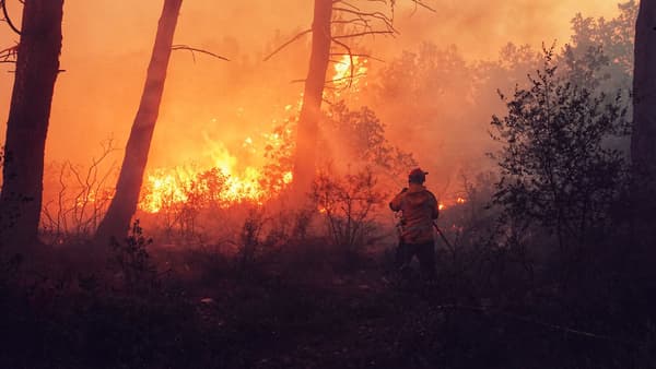 Plus d'une centaine de sapeurs-pompiers est engagée depuis 2h du matin sur un forêt à Falicon.