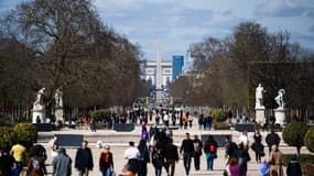 Le jardin des Tuileries à Paris, le 19 mars 2024